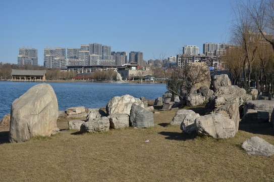 曲江池畔