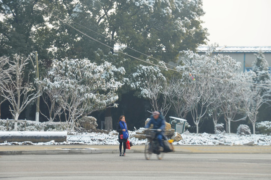 雪后街景