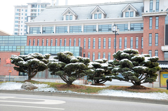 街頭積雪