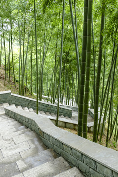 竹林
