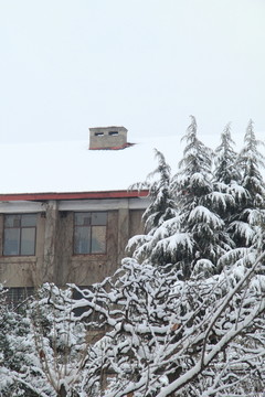 屋頂積雪