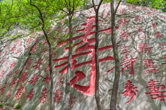 萬(wàn)壽山