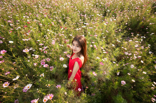 花海里的少女