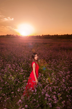 薰衣草 女孩 陽(yáng)光