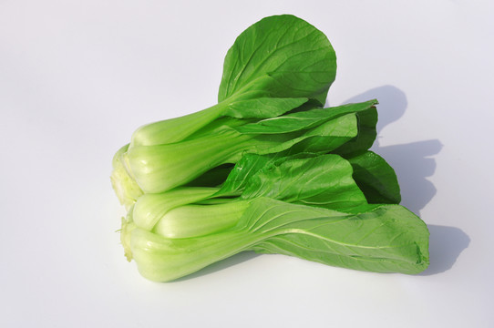 小青菜
