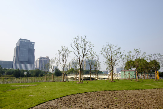 城市綠地