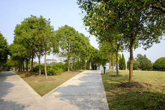 公園小路
