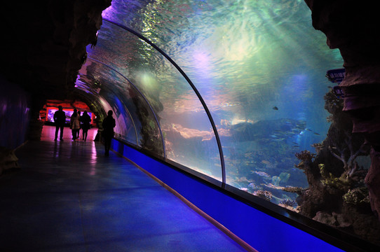 蘭州極地海洋館
