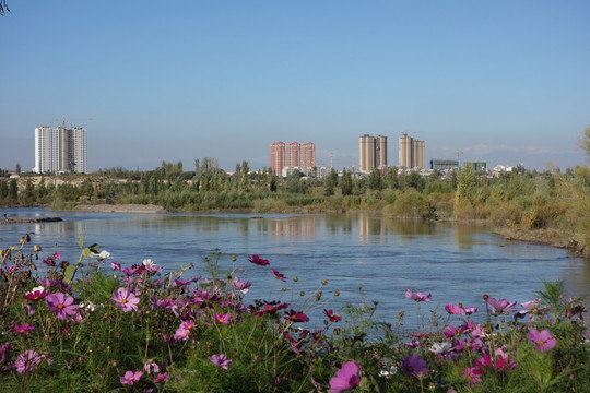 伊犁河