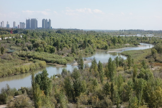 伊犁河