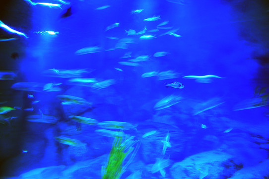 蘭州極地海洋館