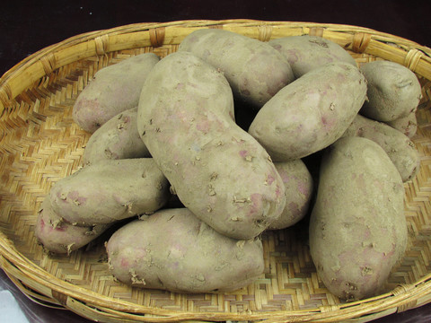 土豆