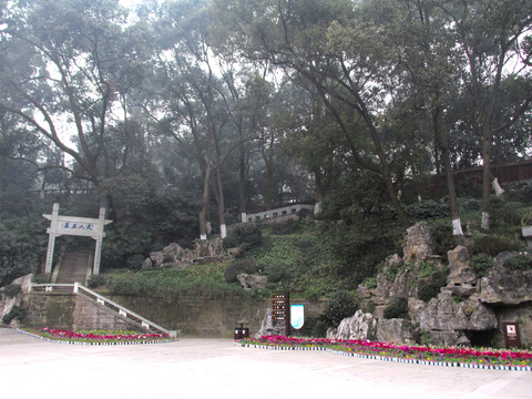 花團(tuán)錦簇