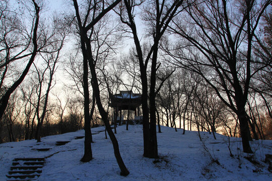 古建筑 涼亭 冰雪 冬天 白雪