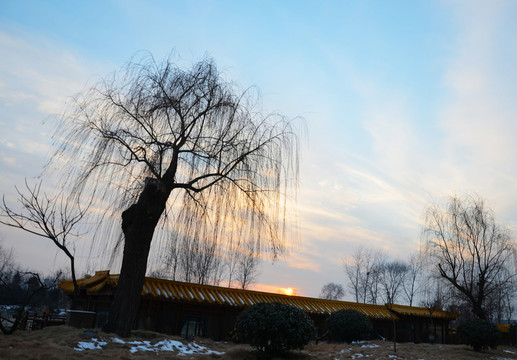 臺兒莊冬景