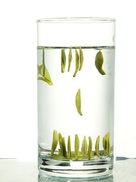 竹葉青茶 一杯茶 龍井茶