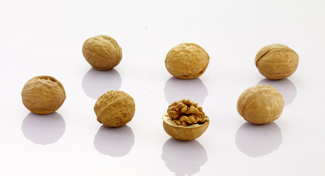 核桃 紙皮核桃 野生核桃