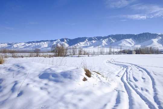 冬雪