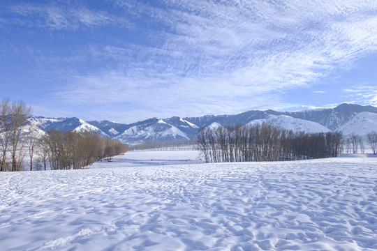 冬雪