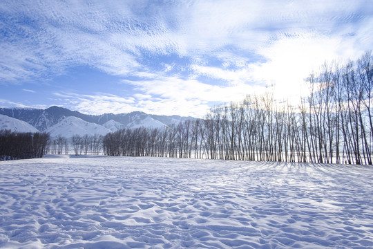 雪景