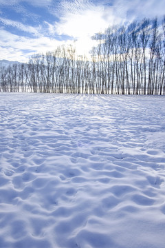 冬雪