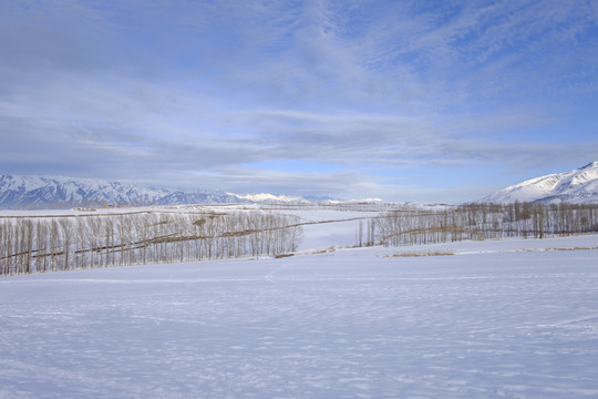 冬雪