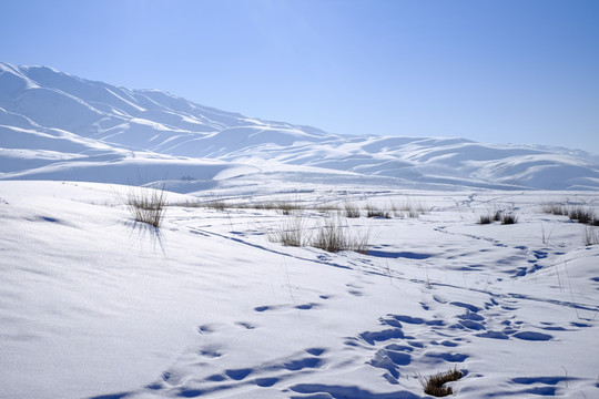 雪山