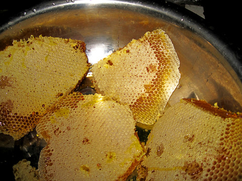 天然蜂蜜 野生蜂蜜 山蜂蜜