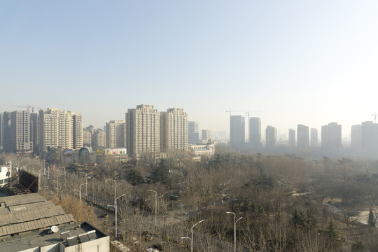 樓群