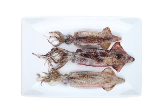 魷魚