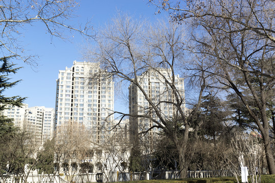 公園冬天