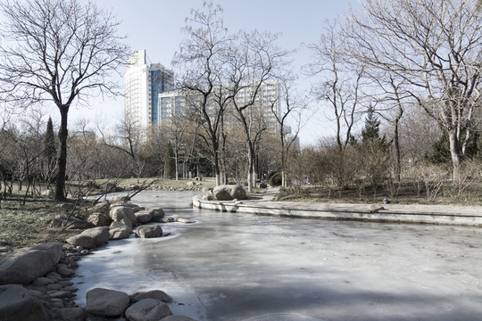 公園冬天