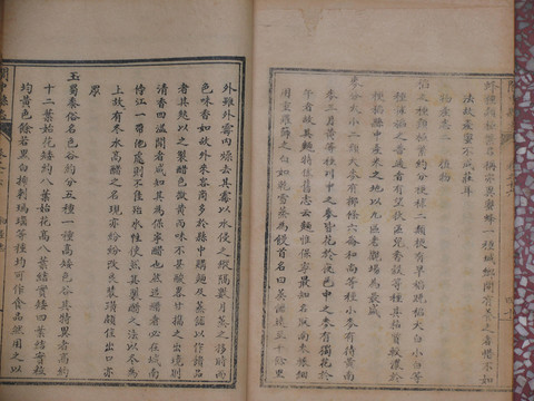 縣志地方歷史古書舊書