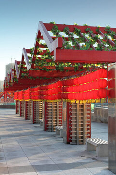 節(jié)日亮化 新年 花燈 十五