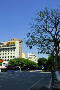 城市藍(lán)天