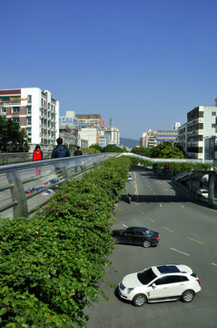 泉州市區(qū)景色