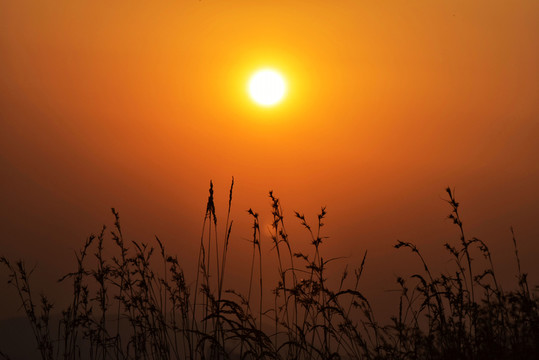 落日夕陽