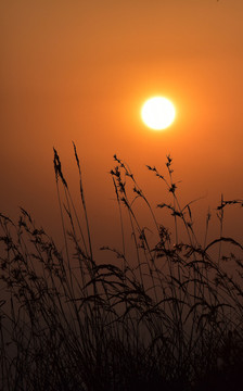 夕陽