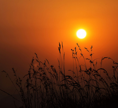 美麗夕陽