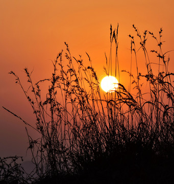 夕陽(yáng)落日