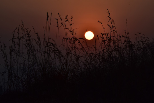 夕陽