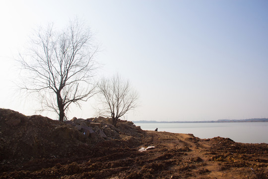 藍(lán)天 枯樹(shù) 城市建設(shè) 黃土 湖