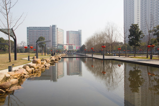 池塘 過年 城市公園