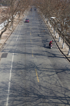 樹林 道路 冬天街道