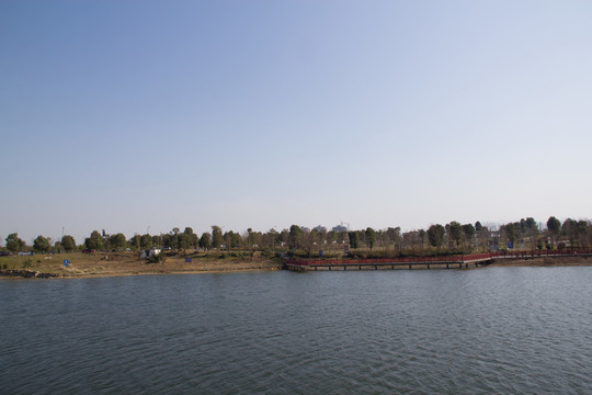 公園 湖水 樹木