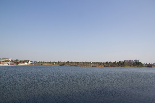 公園 湖水 樹木