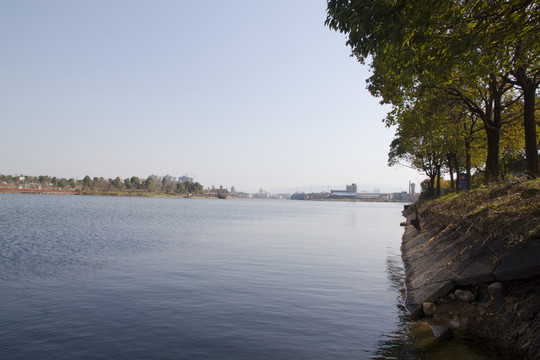 公園 湖水 樹木