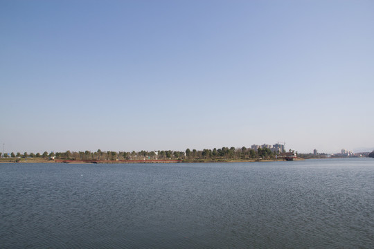 公園 湖水 樹木