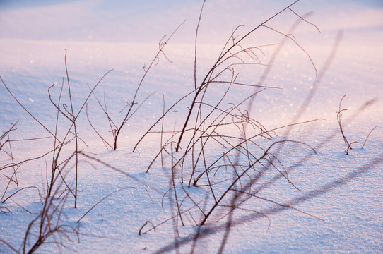 戈壁灘雪景