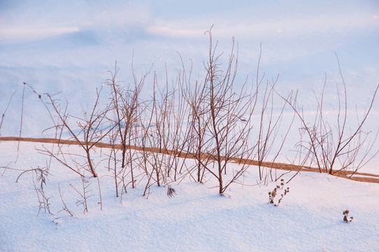戈壁灘雪景